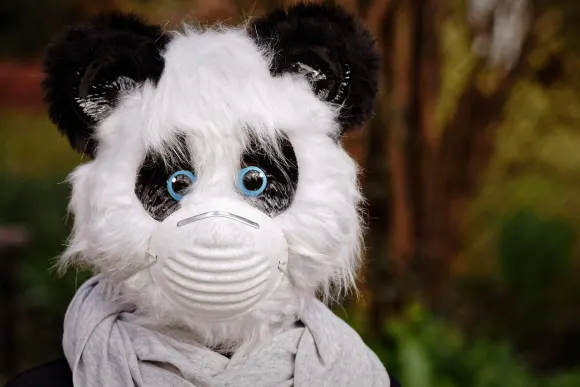 Unibet Kasyno Wsparcie